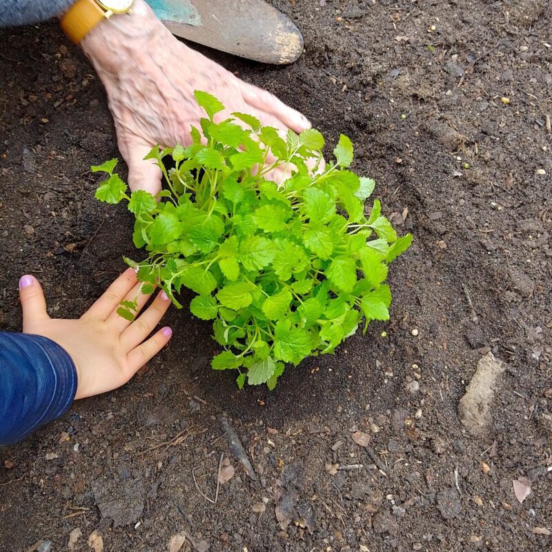 Most_Allende_Jahreszeitencafé25